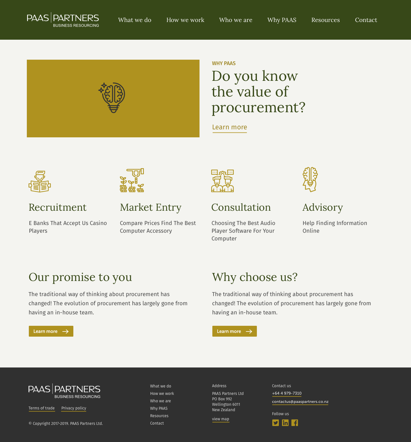 PAAS Partners website — Home screen